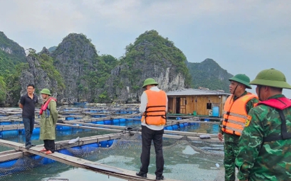 Bão số 3 Wipha đạt cấp cực đại: Biên phòng Quảng Ninh phát thông báo khẩn