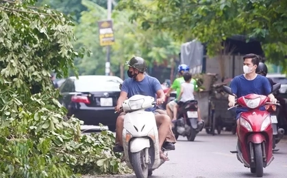 Đại học gấp rút chuyển sang học trực tuyến để phòng tránh bão số 3