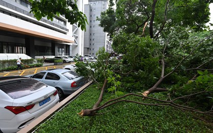 Lũ quét tại Trung Quốc và Mỹ: Những lời cảnh tỉnh nghiêm khắc từ thiên nhiên