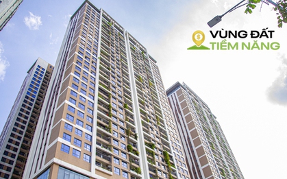 “Nhịn ăn” cả năm chỉ đủ mua 1 m2 chung cư Hà Nội