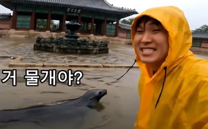 Video AI giả cảnh lũ lụt tại cung điện gây lo ngại về deepfake ở Hàn Quốc