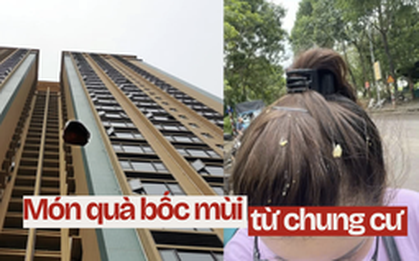 Pha đi chợ nhớ đời ở chung cư: Chưa kịp mua gì đã được "tặng" nguyên bịch thức ăn thừa trên trời rơi xuống