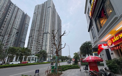 Đâu là tâm điểm tăng giá của thị trường chung cư?