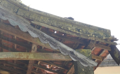 Cận cảnh căn biệt thự bị bỏ hoang của Hoàng Thái hậu triều Nguyễn