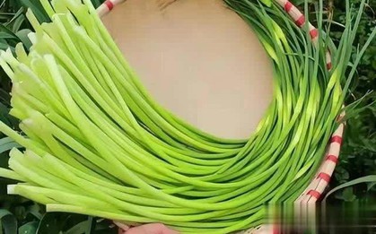 5 loại rau quả mùa hè nên tránh, ngay cả người bán cũng lắc đầu từ chối