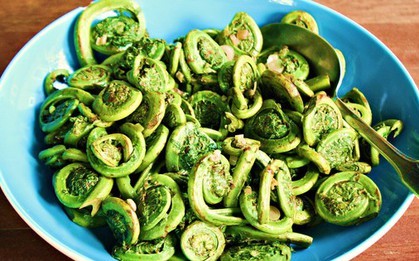 Việt Nam có loại rau mọc dại, từng được thương lái Trung Quốc đổ xô mua: Hoá ra là vị thuốc toàn năng