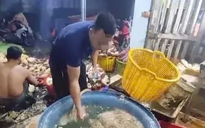 Phát hiện 3 cơ sở ở TPHCM dùng hóa chất để tẩy trắng bắp chuối