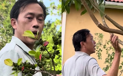 Hoài Linh thăm vườn biệt thự vài trăm m2 tại Mỹ, em trai nói: "Khác gì ở Việt Nam đâu"