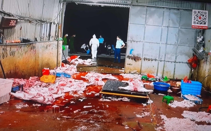 Triệt phá đường dây giết mổ, buôn bán hàng tấn thịt lợn bệnh: Hoạt động rất tinh vi