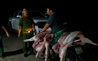 Chi tiết "đường đi" của 50 con heo bệnh được tuồn vào các nhà hàng, chợ ở Hà Nội mỗi ngày