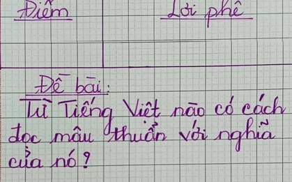 Từ Tiếng Việt nào đọc nghe "khờ" nhưng nghĩa thông minh?