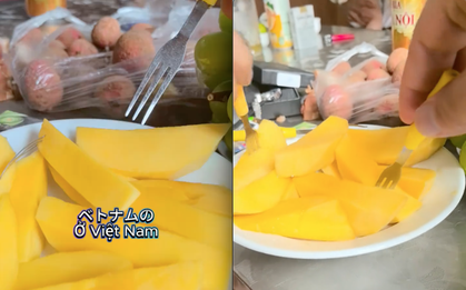 Khách Nhật "xỉu luôn" sau khi ăn 1 loại trái cây màu vàng của Việt Nam, khẳng định hàng "chuẩn xịn"