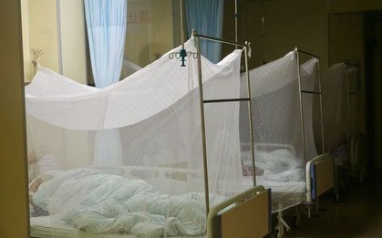 1.387 ca mắc mới virus Chikungunya được phát hiện tại Quảng Đông (Trung Quốc), chuyên gia cảnh báo nên cảnh giác