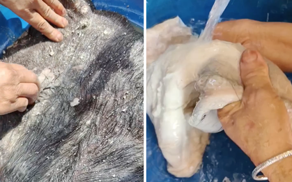Món ăn "gây sốc" của Việt Nam: Xếp vào hàng kinh dị nhưng người địa phương coi là ngon nhất