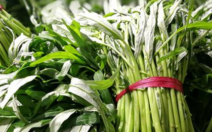 3 loại rau "ngậm thuốc trừ sâu" nhiều nhất chợ, người bán cũng không dám ăn