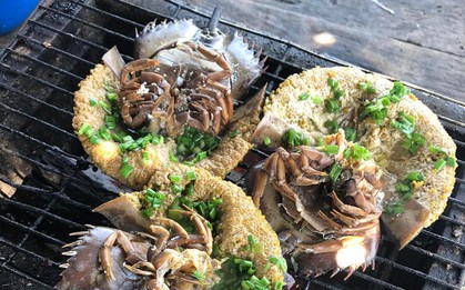 Đặc sản đắt hơn tôm, ghẹ, thuộc dạng quý hiếm ở Quảng Ninh: Bộ phận nào cũng nấu được, vị “kén người ăn”