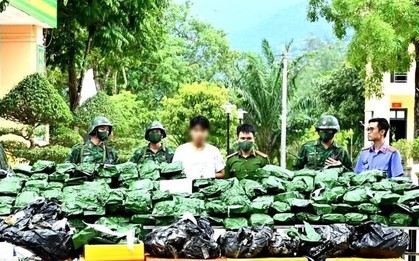Bắt nam thanh niên vận chuyển, tàng trữ 240 kg cần sa
