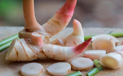 Loại củ "hiếm có khó tìm" trên thế giới, Việt Nam trồng bạt ngàn