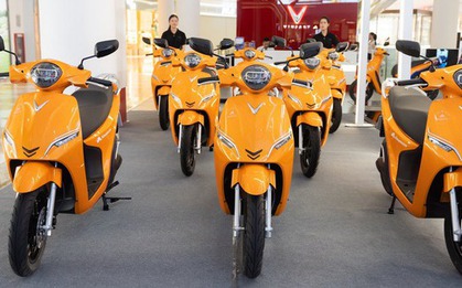 VinFast, Selex, Dat Bike, Yadea, Pega... đang làm gì với xe máy điện trong cuộc chạy đua logistics xanh?