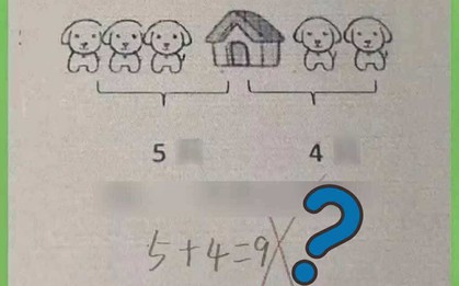Bài toán tiểu học "5 + 4 = 9" bị chấm sai, ngay cả phụ huynh cũng không giải được: Đáp án đúng mới ngã ngửa!