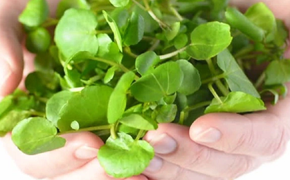 2 loại rau dễ là nơi "tổ ký sinh trùng" ẩn náu, nhất cái số 1 nhiều người mê tít