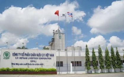 Sau lùm xùm heo bệnh, đại gia Thái Lan C.P. vẫn tăng trưởng doanh thu bán thực phẩm, kiếm tổng cộng 43.000 tỷ ở Việt Nam nửa đầu năm 2025