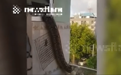 Nhìn ra cửa sổ, người dân phát hiện cảnh tượng nổi da gà