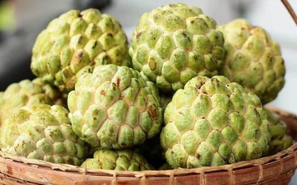 Quả na ngon nhưng có một phần "cực độc", biết mà tránh kẻo ngộ độc, mù mắt