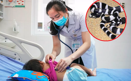 Nghe tiếng khóc ré lên của bé 21 tháng tuổi, cả nhà chạy vào thấy cảnh kinh hoàng