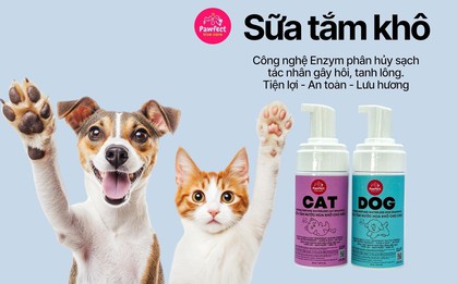 Thú cưng tắm xong vẫn hôi, đâu là giải pháp?