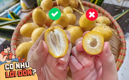 Check var loại quả "cắn dọc thì ngọt, cắn ngang thì chát" đang gây sốt MXH: Liệu hương vị có giống lời đồn?