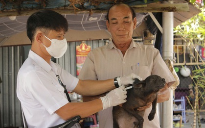 Người đàn ông ở TP HCM bị chó, rắn cắn tử vong