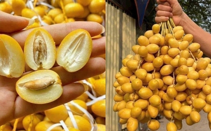 Chợ hoa quả tháng 8: Chà là bất ngờ “soán ngôi” xoài, nho để thành mặt hàng hot nhất
