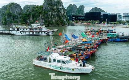 Quảng Ninh cấm biển, tàu thuyền hối hả chạy vào bờ tránh bão