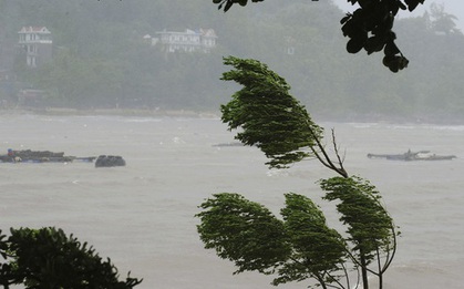 Khu nuôi cá lồng của ngư dân Thanh Hóa chìm trong mưa bão số 5