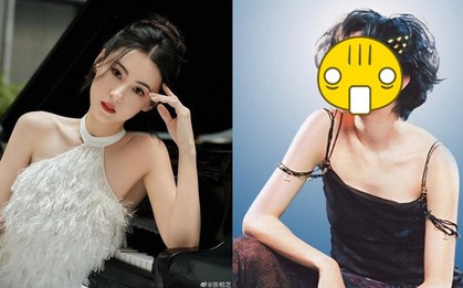 Oan cho Trương Bá Chi