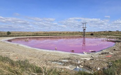 Sự thật sốc về hồ nước màu hồng neon tuyệt đẹp