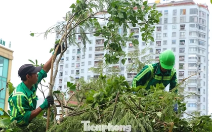 Công nhân môi trường dọn hơn 2.000 tấn rác/ngày sau bão