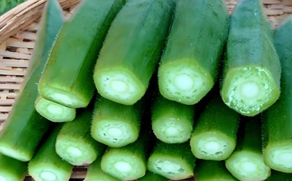 4 loại rau củ ít thuốc trừ sâu nên ăn thường xuyên trong mùa thu