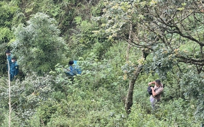 Phát hiện ô tô lao xuống vực ở Mẫu Sơn cùng thi thể đang phân hủy