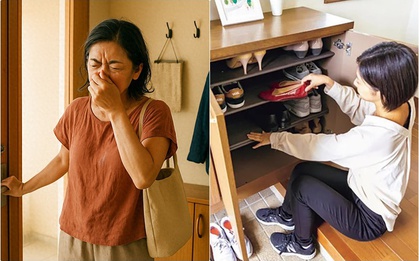 Tủ giày của bạn lúc nào cũng ẩm mốc và bốc mùi? 90% mọi người đều bỏ qua điểm quan trọng này