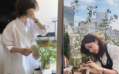 "Chi tiêu lười biếng" đang là xu hướng mới của giới trẻ: Mua hoa ít tiền, ít công chăm mà đẹp cả nhà, tốt cả sức khỏe