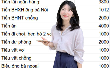 Thu nhập 30 triệu, 4 năm tiết kiệm được 1 tỷ mua đất: Bảng chi tiêu hé lộ điều đáng nể!