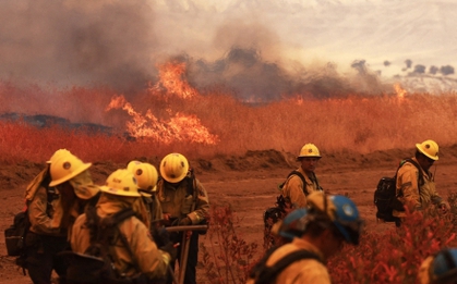 Cháy rừng dữ dội tại California, hơn 339 km² bị thiêu rụi, 4 người bị thương