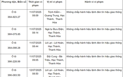 Loạt phương tiện vượt đèn đỏ mang biển số sau nhanh chóng nộp phạt nguội theo Nghị định 168