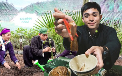 Jun Phạm về Bản Liền cùng bà con trồng loại cây đặc sản, chị Thông tiết lộ thời điểm có thể "order" ăn thử