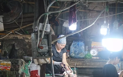 Nhếch nhác những điểm giết mổ gia cầm tại chợ dân sinh Hà Nội