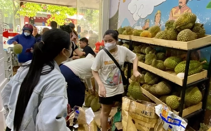 Sầu riêng giá rẻ 'đổ bộ' Hà Nội, 1 ngày bán gần 3 tấn