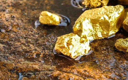 "Đãi cát tìm vàng" từ KQKD quý 2: Lộ diện loạt "siêu cổ phiếu" tiềm năng với biên lãi gộp tăng trưởng liên tục