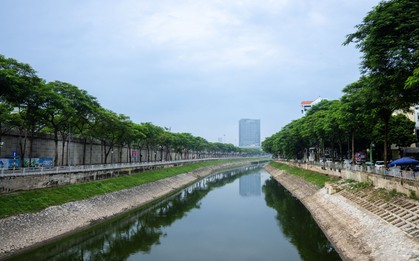Cảnh tượng hiếm thấy: Sông Tô Lịch hóa xanh, cá bơi tung tăng giữa lòng Hà Nội